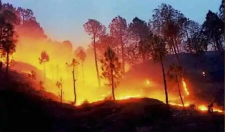 उत्तराखंड के जंगलों में आग