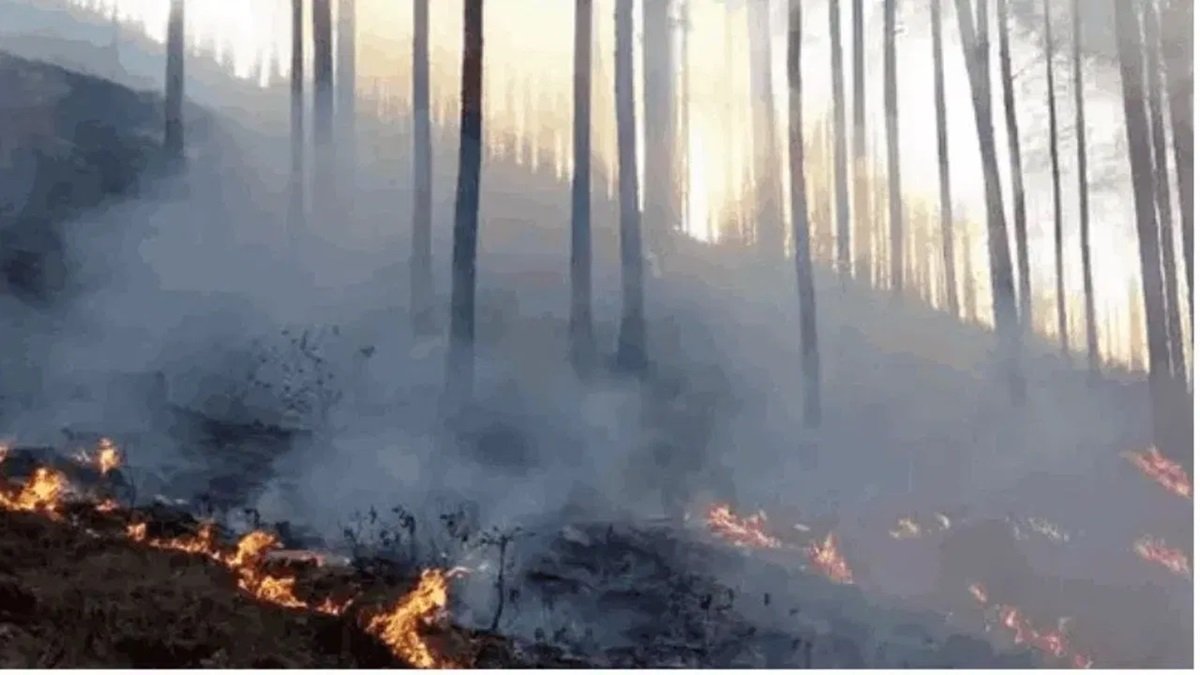 Uttarakhand Forest Fire