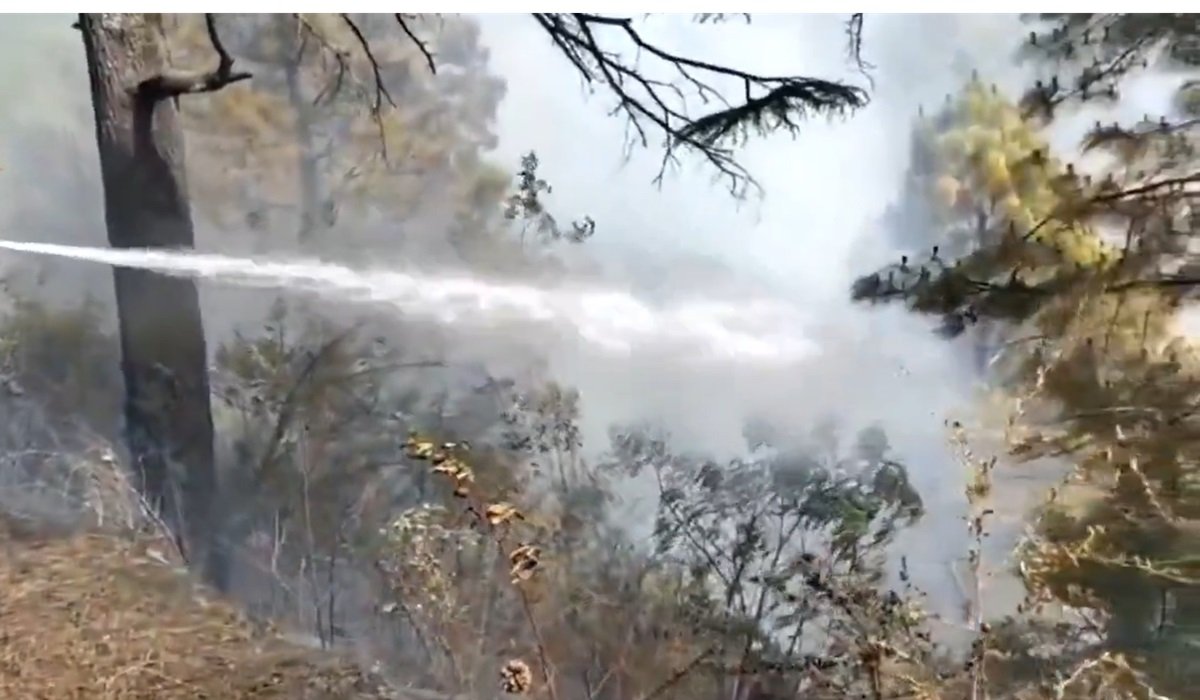 Uttarakhand Forest Fire 