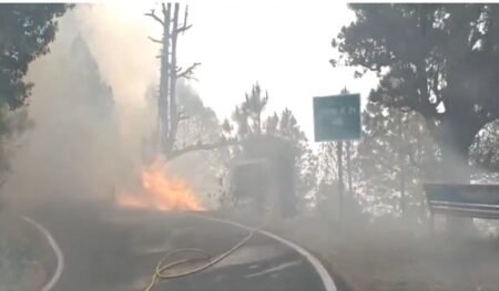 Uttarakhand Forest Fire