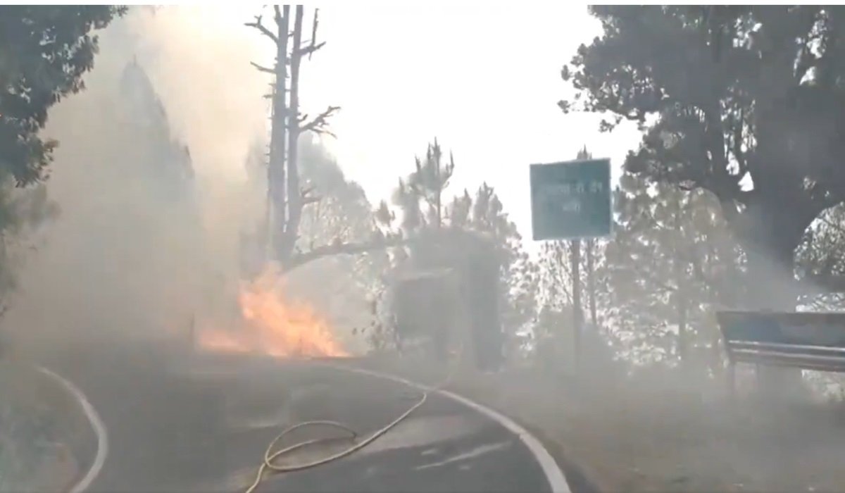 Uttarakhand Forest Fire