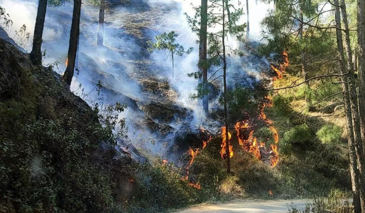 Uttarakhand Forest Fire : बुझ नहीं रही उत्तराखंड के जंगलों में लगी आग