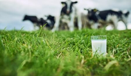 milk-Price-Hike-in-uttarakhand